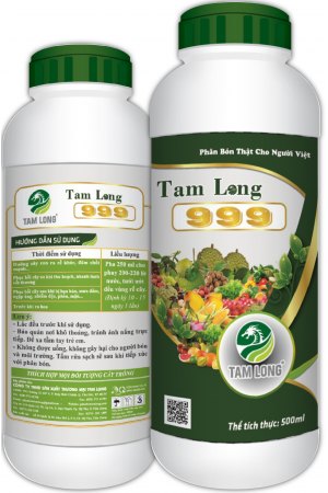 tam-long-999-tang-truong